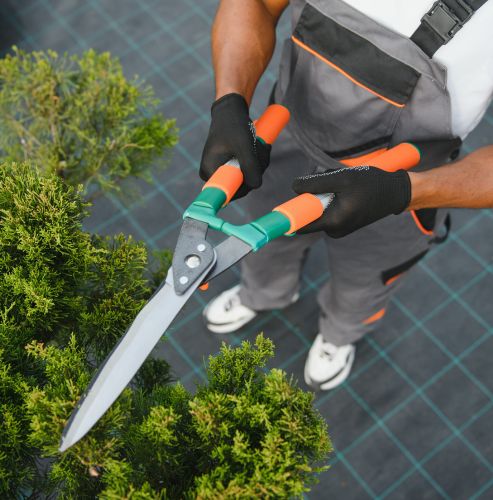 Gardeners and Groundskeepers in Kenya